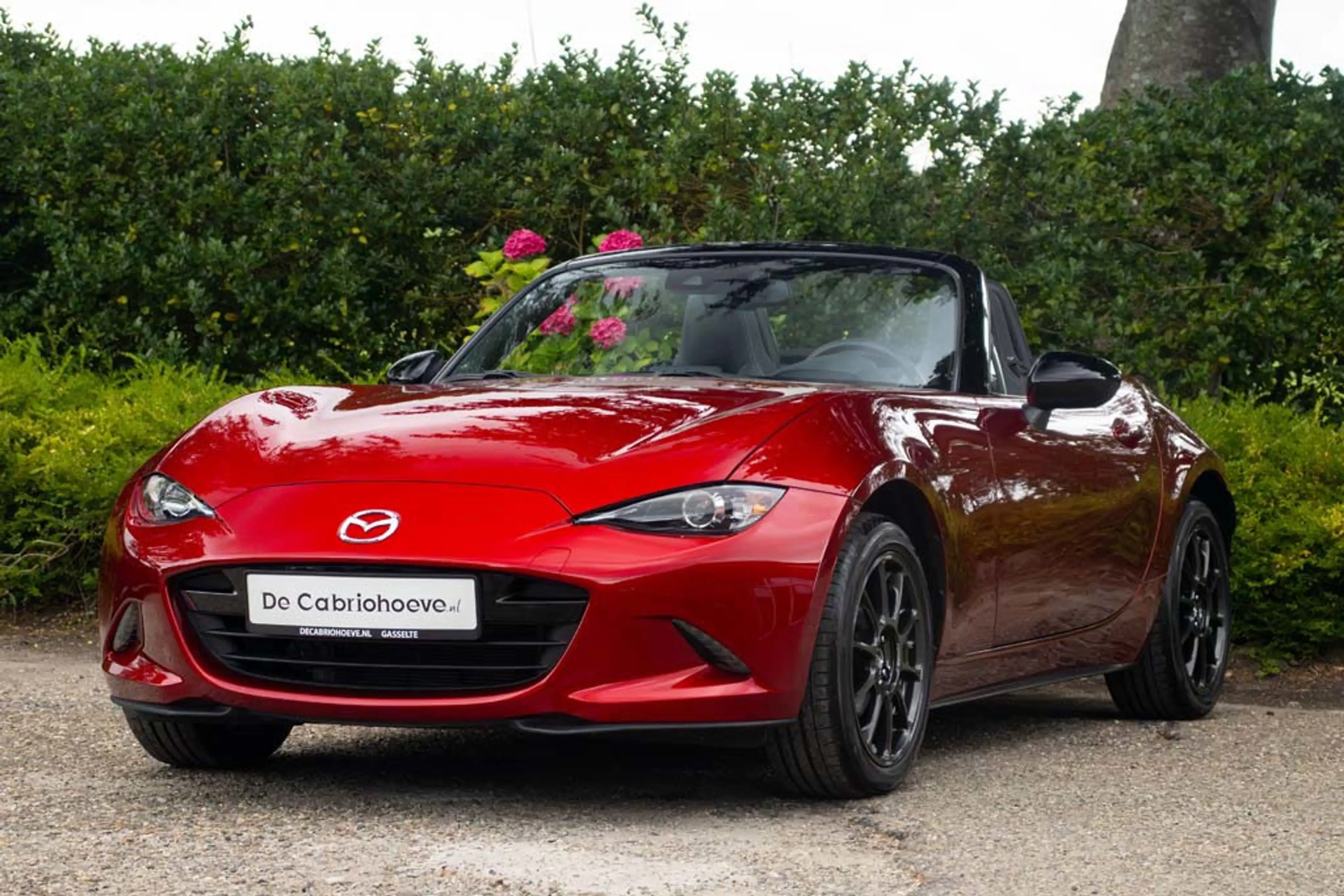 Mazda MX-5 ND 1,5l SkyActiv-G 132 GT-M Soul Red Crystal Metal — photo 2
