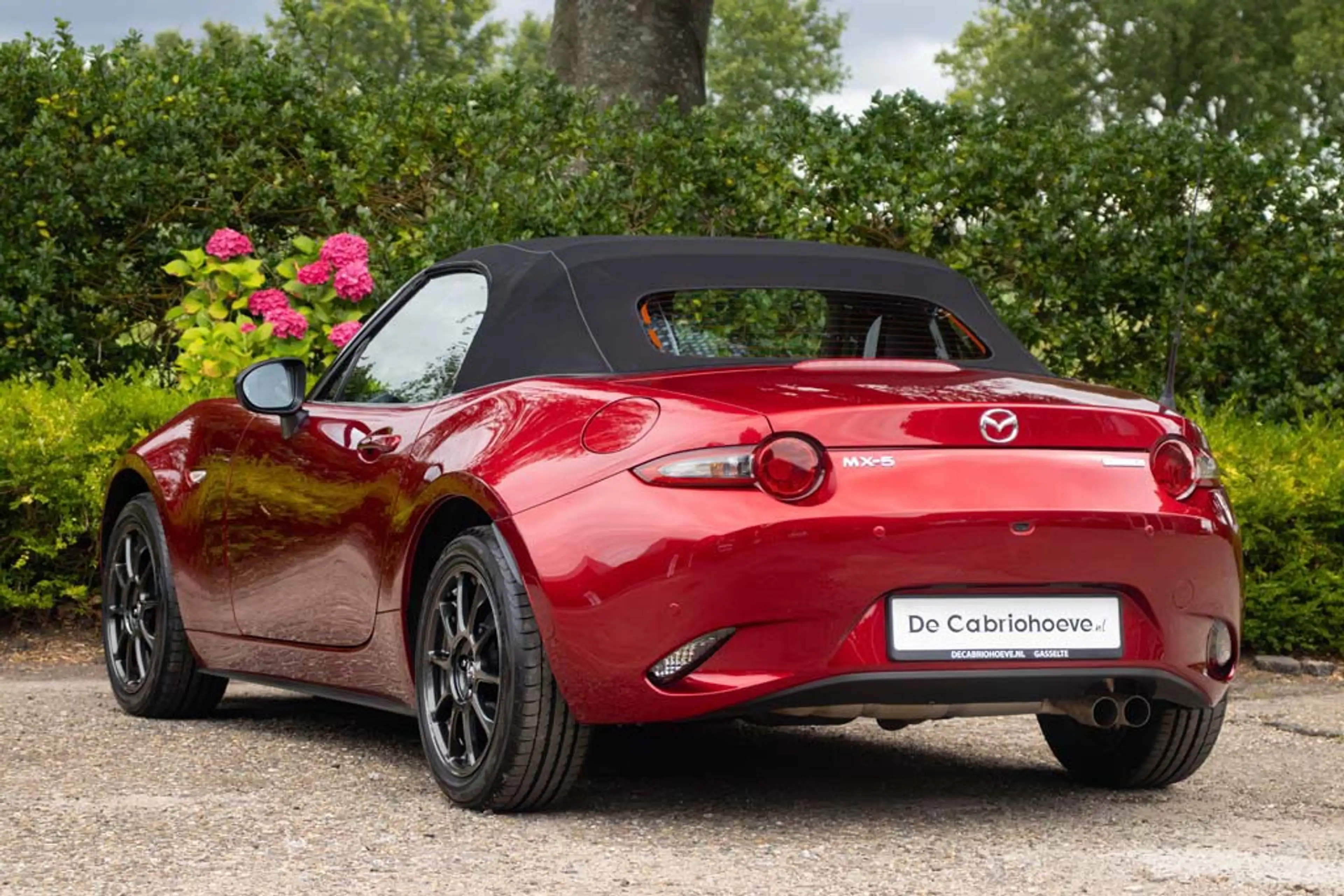 Mazda MX-5 ND 1,5l SkyActiv-G 132 GT-M Soul Red Crystal Metal — photo 5