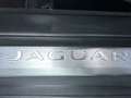Jaguar F-Type Coupe P300 R-Dyn.  Eiger RWD Grey Grigio - thumbnail 17