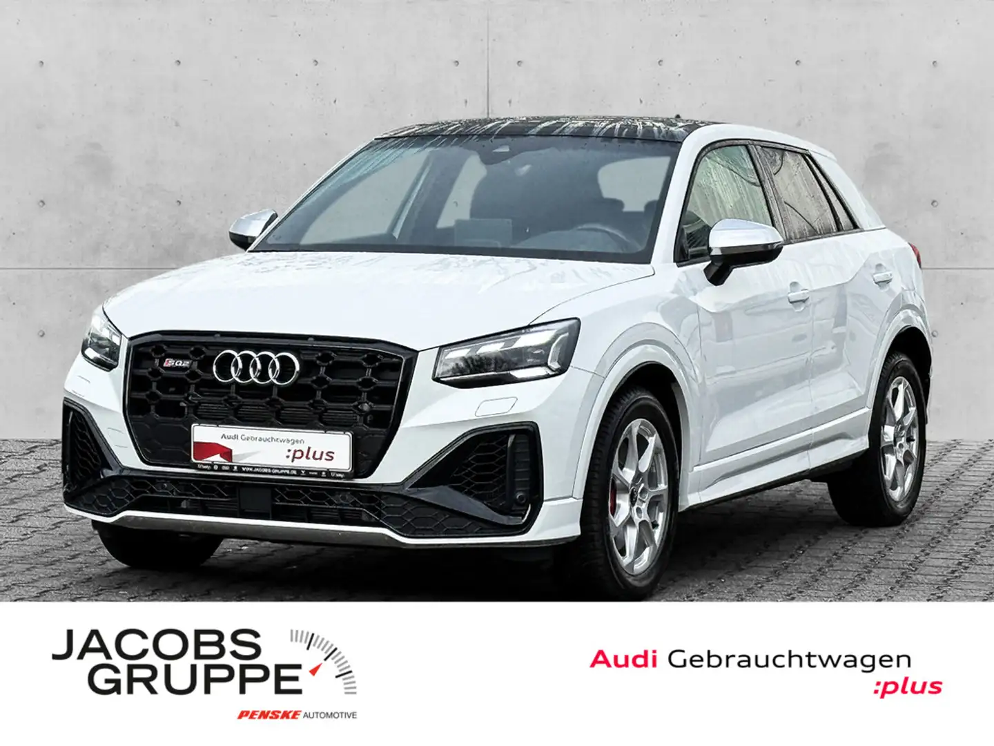 Audi SQ2 TFSI quattro AHK/Matrix/Sonos/Pano/Blackp. Weiß - 1