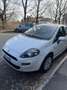 Fiat Punto Punto 5p 1.2 Active Gpl Bianco - thumbnail 6