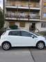Fiat Punto Punto 5p 1.2 Active Gpl Bianco - thumbnail 1