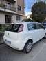 Fiat Punto Punto 5p 1.2 Active Gpl Bianco - thumbnail 2