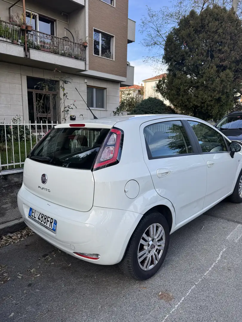 Fiat Punto Punto 5p 1.2 Active Gpl Bianco - 2