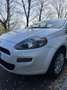 Fiat Punto Punto 5p 1.2 Active Gpl Bianco - thumbnail 5