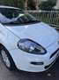 Fiat Punto Punto 5p 1.2 Active Gpl Bianco - thumbnail 4