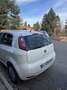 Fiat Punto Punto 5p 1.2 Active Gpl Bianco - thumbnail 3