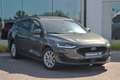 Ford Focus EcoBoost mHEV Titanium Gris - thumbnail 2