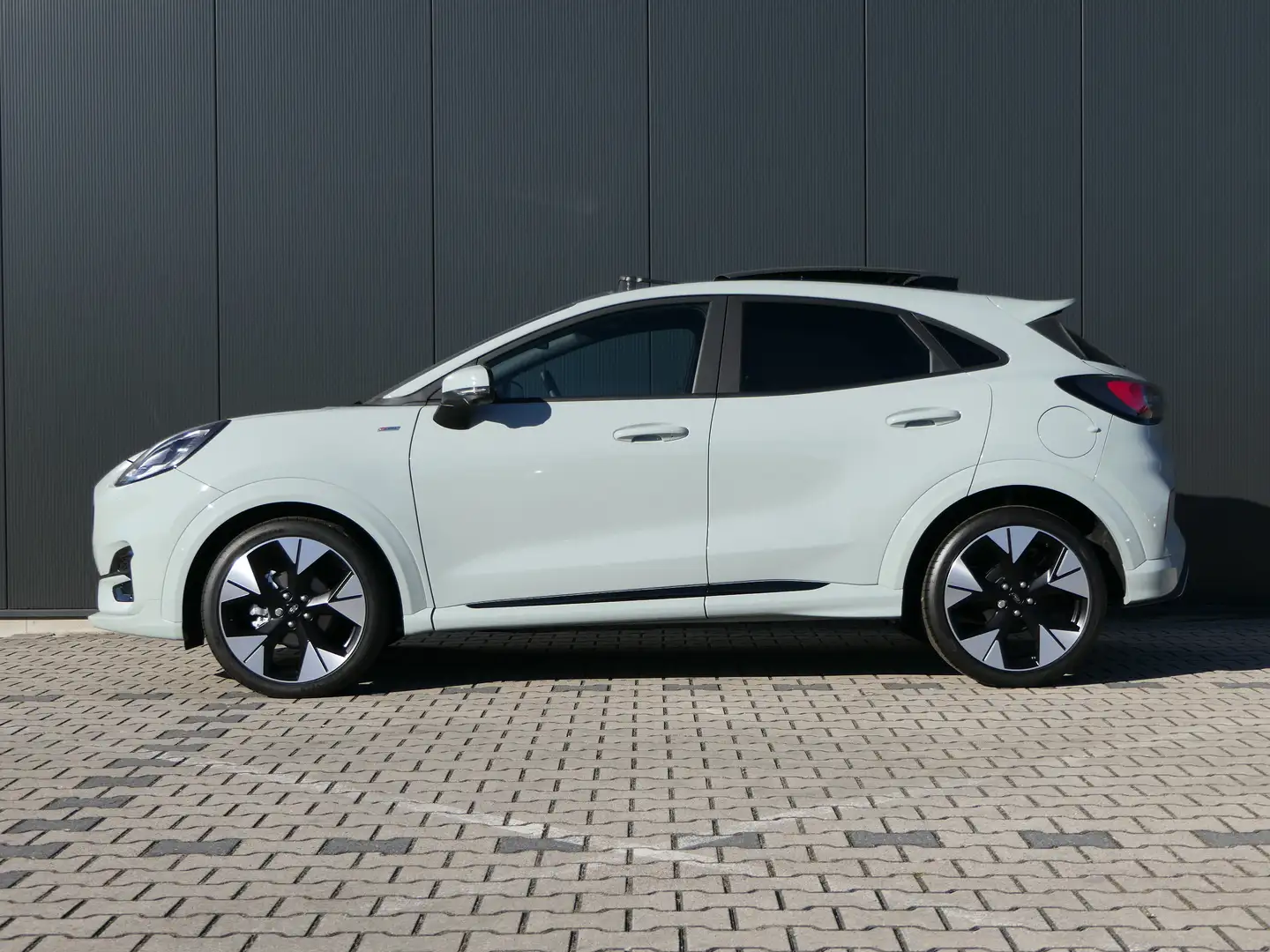 Ford Puma 1.0 EcoBoost Hybrid ST-Line X | Panoramadak | 19 I Grigio - 2