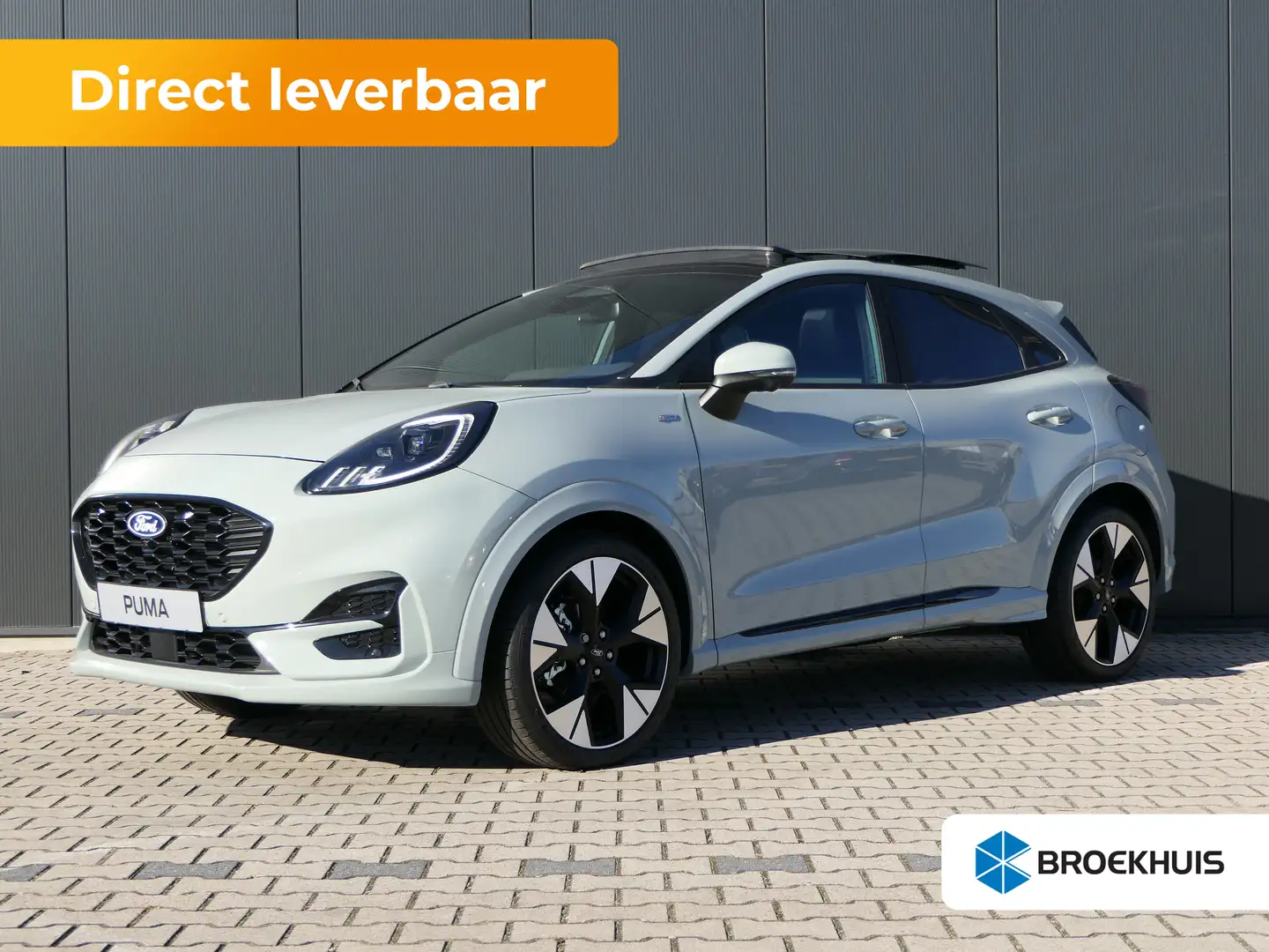 Ford Puma 1.0 EcoBoost Hybrid ST-Line X | Panoramadak | 19 I Grigio - 1