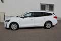 Ford Focus Traveller 1,5 EcoBlue Cool & Connect Aut. Weiß - thumbnail 4