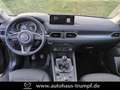 Mazda CX-5 150PS EXCLUSIVELINE AZV Grau - thumbnail 7