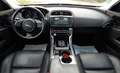 Jaguar XE 2.0 Portfolio~XENON~KAMERA~LEDER~PANO~ACC Grün - thumbnail 8