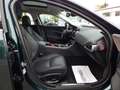 Jaguar XE 2.0 Portfolio~XENON~KAMERA~LEDER~PANO~ACC Grün - thumbnail 12