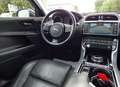 Jaguar XE 2.0 Portfolio~XENON~KAMERA~LEDER~PANO~ACC Grün - thumbnail 7