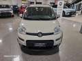 Fiat Panda 1.3 mjt 16v 4x4 KM 72000 OK NEOPATENTATI Beige - thumbnail 2