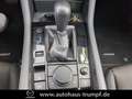 Mazda 3 150PS SELECTION A18 DESIGN-Paket PREMIUM-P Selecti Negro - thumbnail 20