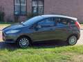 Ford Fiesta Fiesta 1.0 Style Grijs - thumbnail 1