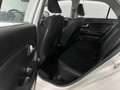 Kia Picanto 1.0 CVVT BusinessLine/5drs/nap/3e EIG/ dealeronder Wit - thumbnail 20
