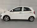 Kia Picanto 1.0 CVVT BusinessLine/5drs/nap/3e EIG/ dealeronder Weiß - thumbnail 23