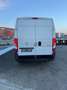 Peugeot Boxer Bianco - thumbnail 5
