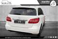 Mercedes-Benz B 180 CDI NIGHT Edt 2H BI-XEN MEM TOTW KAM PARKA Weiß - thumbnail 7