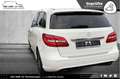 Mercedes-Benz B 180 CDI NIGHT Edt 2H BI-XEN MEM TOTW KAM PARKA Weiß - thumbnail 6
