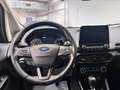 Ford EcoSport 1.0 ecoboost Titanium s&s 125cv Nero - thumbnail 14