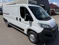 Opel Movano C Kasten Ka L2H1 3,5t Edition Weiß - thumbnail 1