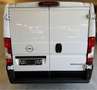 Opel Movano C Kasten Ka L2H1 3,5t Edition Weiß - thumbnail 12