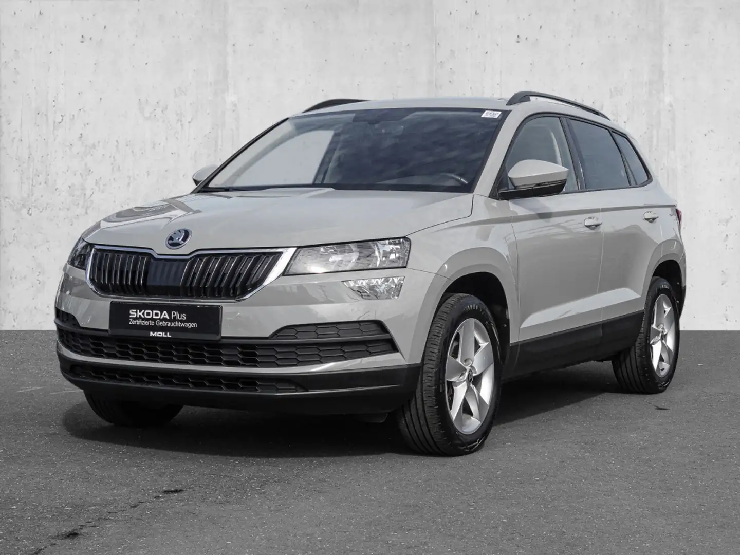 Skoda Karoq 1.0 TSI Ambition NAVI FLA PDC LM VICO Grau - 2
