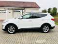 Hyundai SANTA FE Style 2WD*NAVI*LEDER*KAMERA*4xSITZHZG* Blanc - thumbnail 7