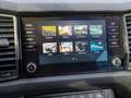 Skoda Kodiaq 1.5 TSI DSG Clever Navi, Rear-View Blanco - thumbnail 18