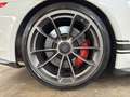 Porsche 911 991 3.8 GT3 Club Sport Bianco - thumbnail 9
