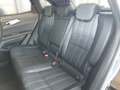 Renault Austral Mild Hybrid 160 Techno Aut. Schwarz - thumbnail 10