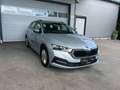 Skoda Octavia Combi 2,0 TDI 4x4 Ambition DSG LED/ASSIST./PARKTR. Silber - thumbnail 16