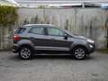 Ford EcoSport Titanium 1.0 EcoBoost 125pk SFEERVERLICHTING | USB Grijs - thumbnail 4