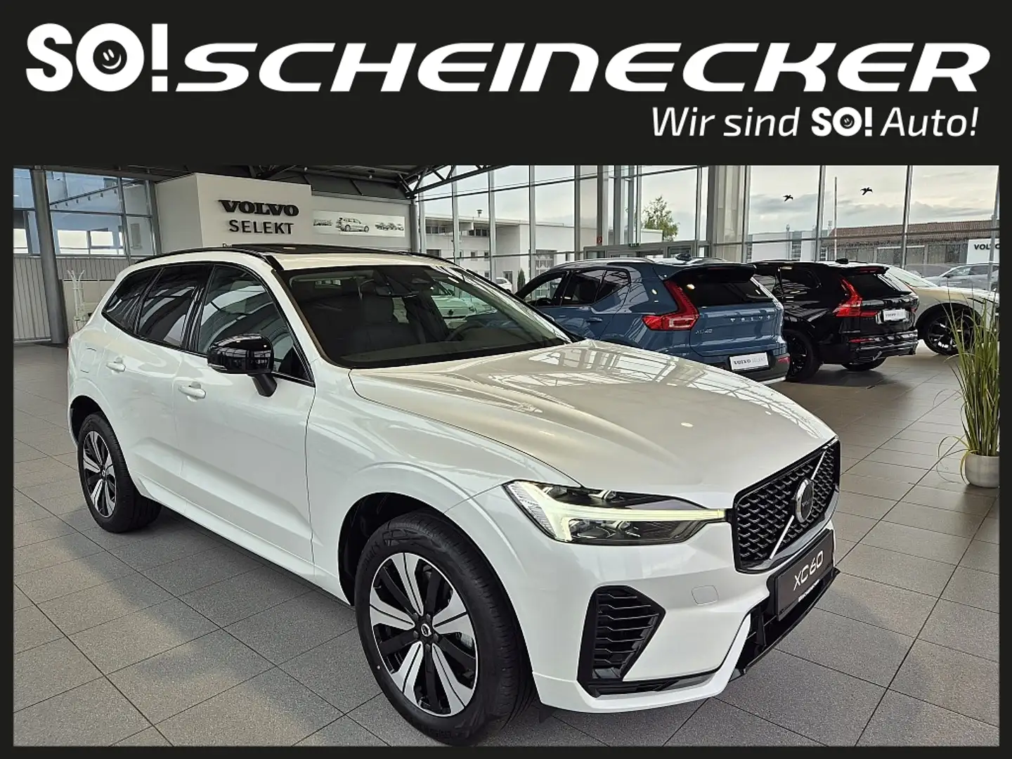 Volvo XC60 T6 AWD PHEV Plus Dark Aut. Blanc - 1