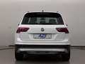 Volkswagen Tiguan TDI OFFROAD 4Motion LED AKH ACC Navi Bianco - thumbnail 7