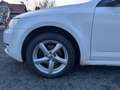 Skoda Octavia Lim. Ambition Weiß - thumbnail 15