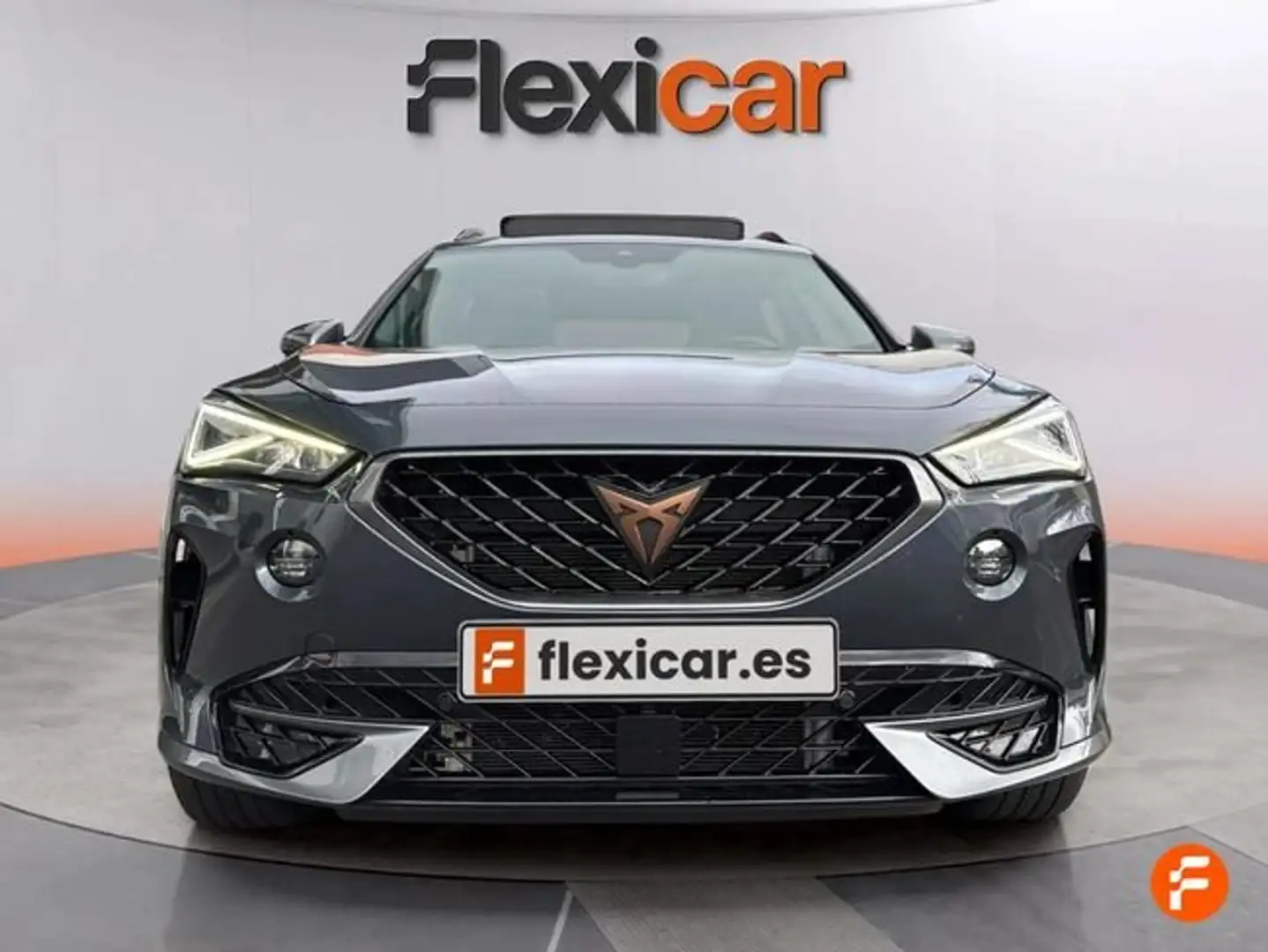 CUPRA Formentor 2.0 TDI 150 Gris - 2