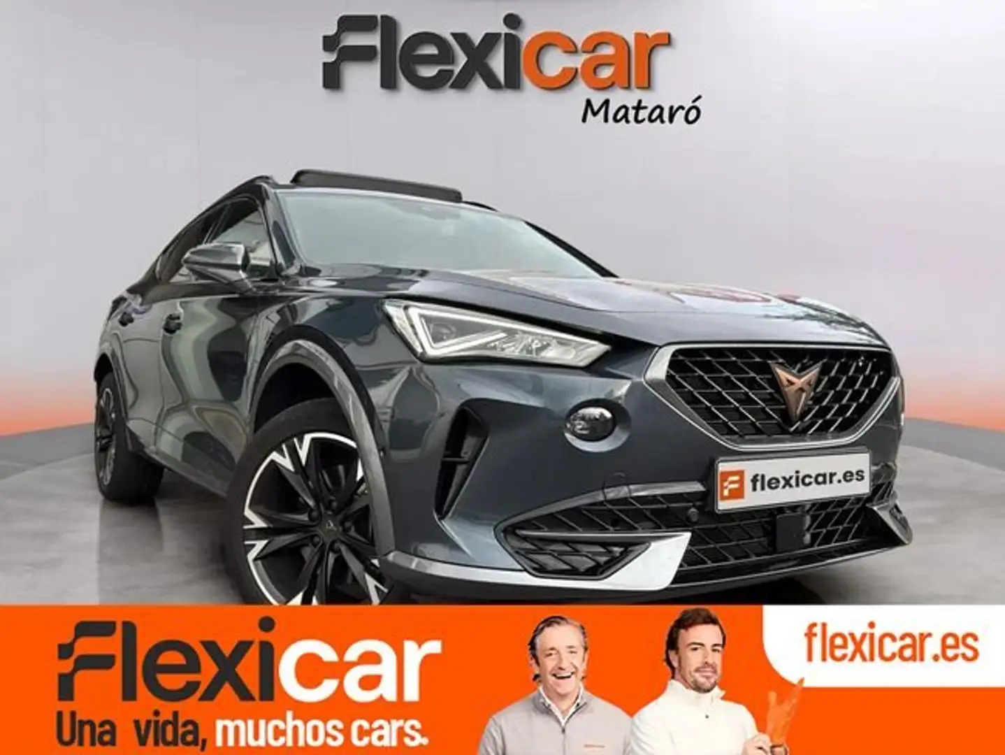 CUPRA Formentor 2.0 TDI 150 Gris - 1