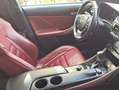 Lexus IS 300 300h F Sport Line Wit - thumbnail 6