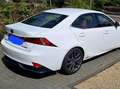 Lexus IS 300 300h F Sport Line bijela - thumbnail 2