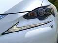 Lexus IS 300 300h F Sport Line Blanco - thumbnail 7