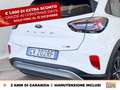 Ford Puma 1.0 ecoboost h titanium s&s 125cv Bianco - thumbnail 18