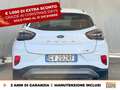 Ford Puma 1.0 ecoboost h titanium s&s 125cv Bianco - thumbnail 5