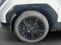 Hyundai SANTA FE 1.6 T-GDI PLUG IN - PHEV BLACKLINE 6-SITZER - 0,5% Blanco - thumbnail 19