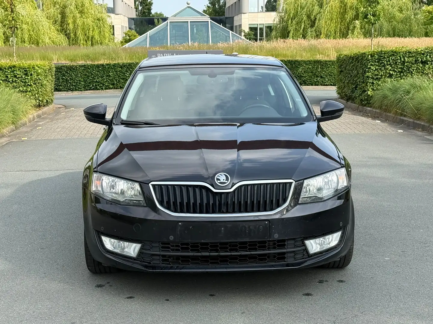 Skoda Octavia 1.6 CR TDi GreenLine Ambition - 2