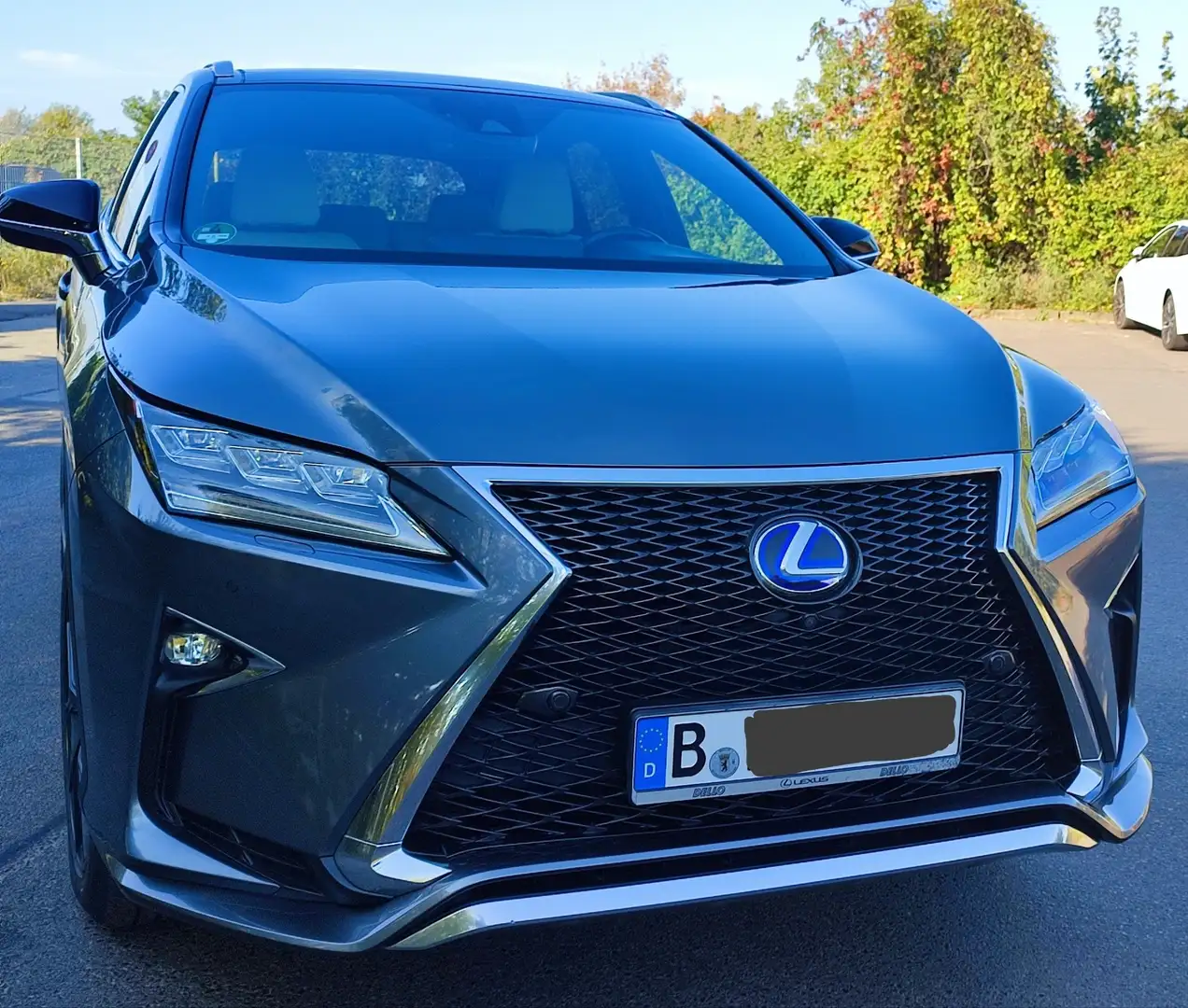 Lexus RX 450h 450h AWD Grau - 2